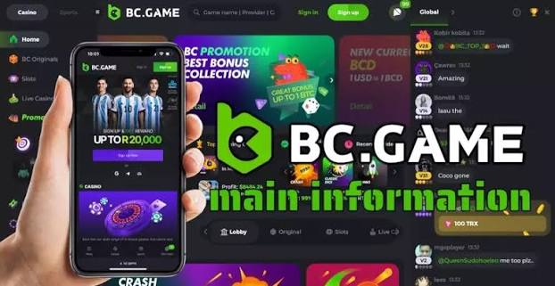 Corgibet Casino Privacy Your Data Matters Corgibet Casino Privacy Your Data Matters